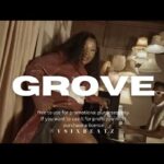 Read more about the article Makhadzi – Grove ft. Mr Bow, Shandesh & Janesh